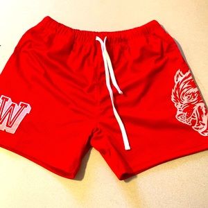 Darc Sport Mesh Shorts